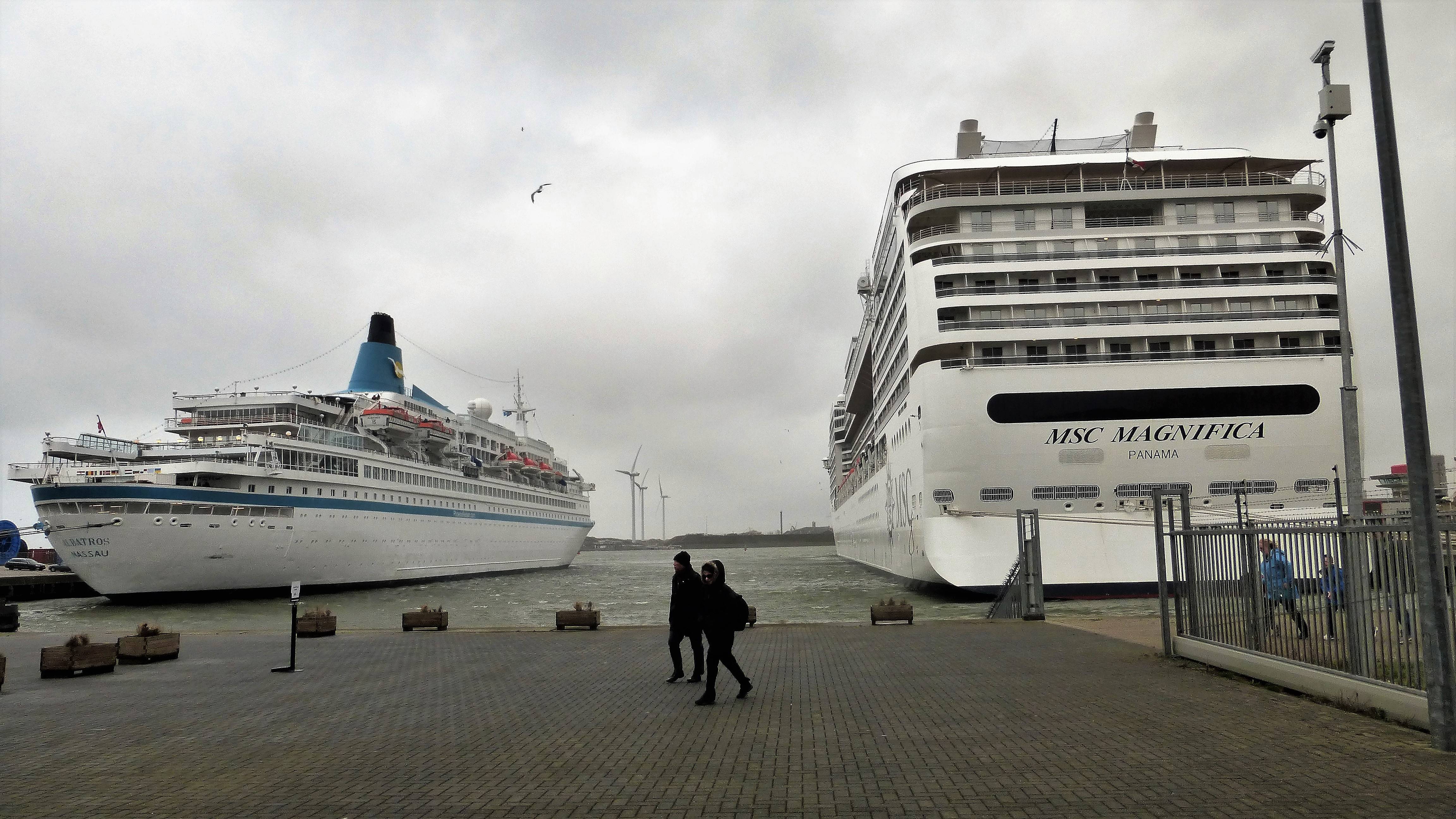 ALBATROS En MSC MAGNIFICA 